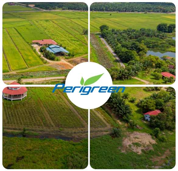 perigreen_about